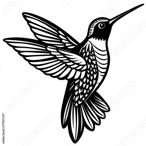 hummingbird silhouette vector illustration svg file
