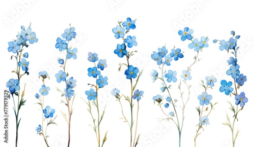 Floral branch set. Blue floral collection with leaves and flowers, han drawn oil paint watercolor. Spring or summer design for invitation, wedding or greeting cards background illustration