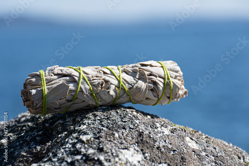 An image of a white sage smudge stick tied with bright green thread and the blue ocean waters in the background.