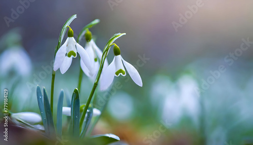 Ethereal Blooms Dancing Among Emerald Blades. Generative AI