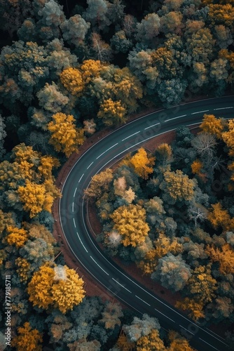 Aerial view of a scenic winding road surrounded by lush trees. Perfect for travel or nature concepts