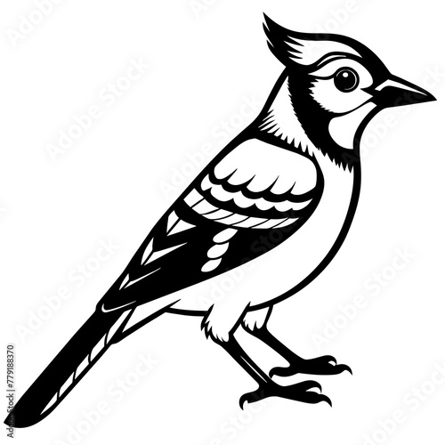 blue jay  silhouette vector illustration svg file photo