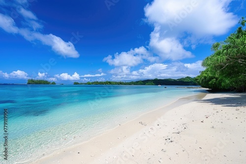 Sandy beach with clear blue water, ideal for travel brochures