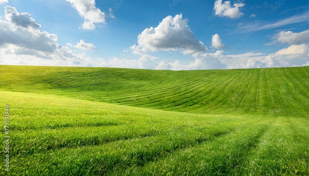 Vivid Vistas: Perfect Green Lawn Extending into the Boundless Blue Horizon