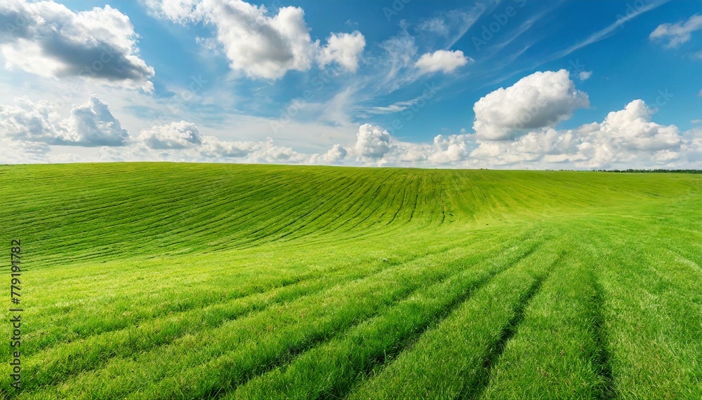 Nature's Canvas: Perfect Green Lawn and Blue Sky Merge in Panoramic Bliss