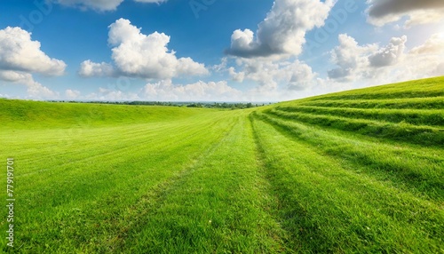 Azure Acres  Verdant Green Field Stretching Beneath a Summer Sky