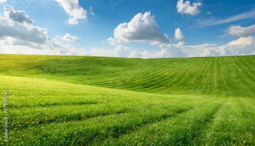 Vivid Vistas  Perfect Green Lawn Extending into the Boundless Blue Horizon