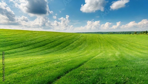 Idyllic Oasis: Serene Panorama of Cut Grass Field and Clear Blue Skies © Dostain