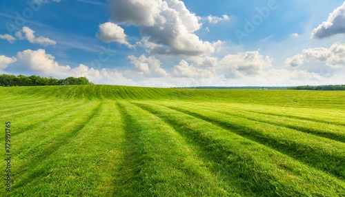 Sunny Meadows: Scenic View of a Green Field and Cloudy Blue Sky