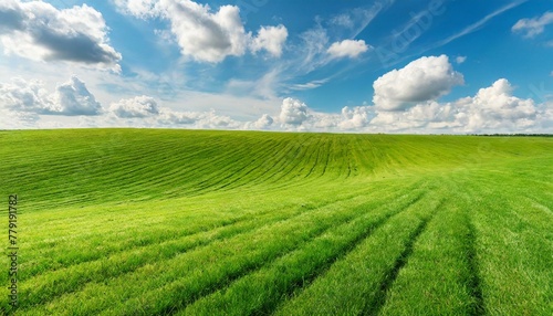 Nature's Canvas: Perfect Green Lawn and Blue Sky Merge in Panoramic Bliss © Dostain