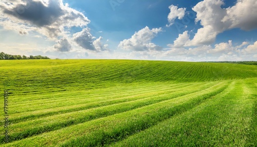 Sunny Splendor: Perfect Green Lawn Stretching Towards a Blue Sky Horizon © Dostain