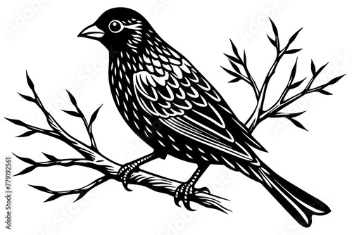 bird-vector illustration on-a-bare-branch © Jutish