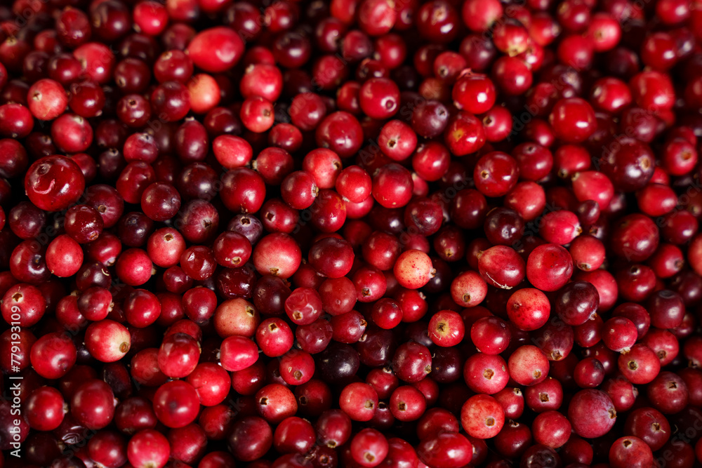 Pile of Cranberries on Table Pile of Cranberries on Table