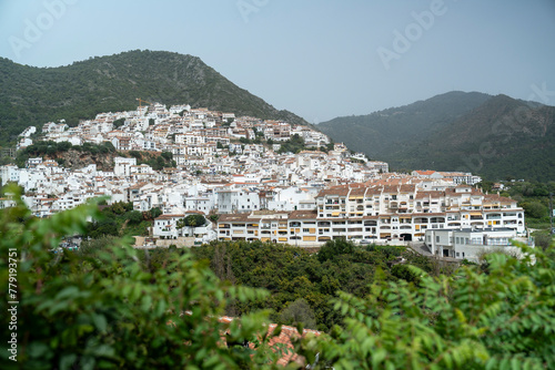 Immerse yourself in the rustic beauty of Ojen, a picturesque village in Malaga province, where every corner tells a story of Andalusian heritage