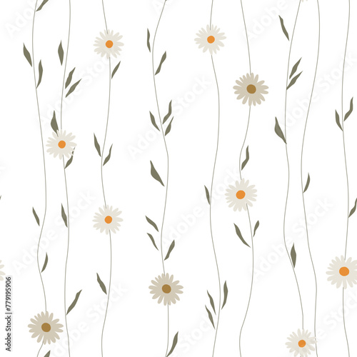 Daisy Semless pattern. Vector daisies. Flat wildflowers fabric design. 
