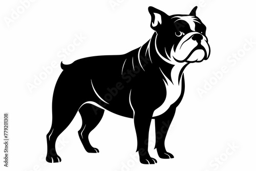 Fototapeta Naklejka Na Ścianę i Meble -  a black french bulldog wearing orange sunglasses vector illustration