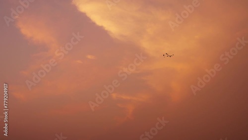 Colourful dramatic sky with birds flying in evening.
