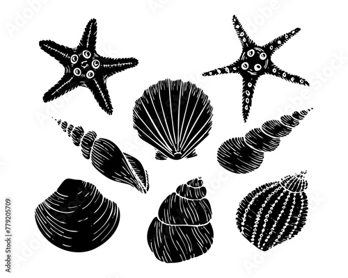 A set of vector seashell silhouette illustrations, including starfish, scallop. Hand drawn maritime seashell sketch. Undersea seashells graphic drawing. For icon, logo, seafood shop, menu.