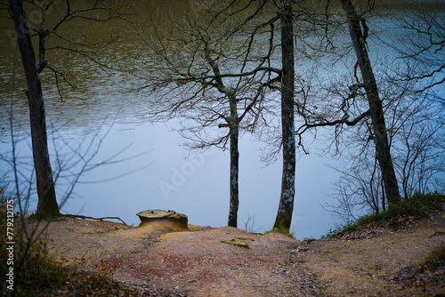 Tranquil Forest Lake: Serenity Among Trees photo