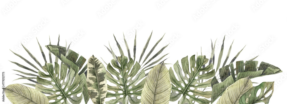 Border of realistic tropical leaves of monstera, fan palm, banana leaves, calathea. Hand drawn watercolor illustration. Botanical illustration for design of invitations, cards, holidays and weddings Border of realistic tropical leaves of monstera, fan palm, banana leaves, calathea. Hand drawn watercolor illustration. Botanical illustration for design of invitations, cards, holidays and weddings