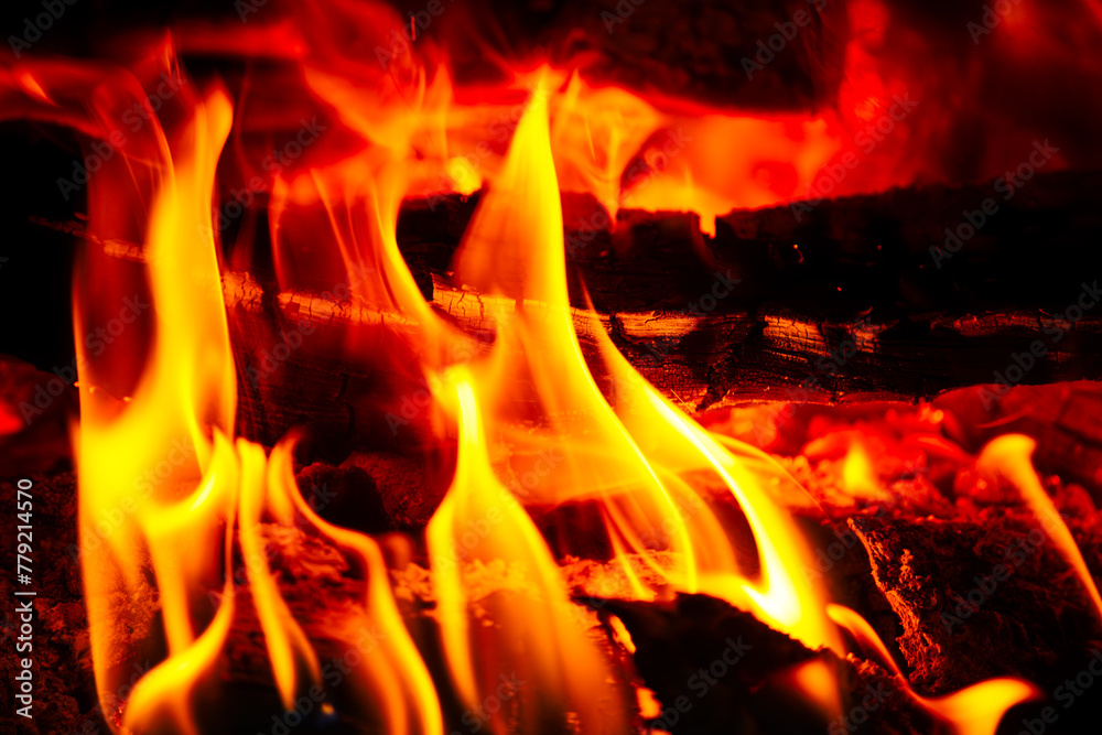 Infernal Essence: Close-Up of Fiery Wood Fire Infernal Essence: Close-Up of Fiery Wood Fire