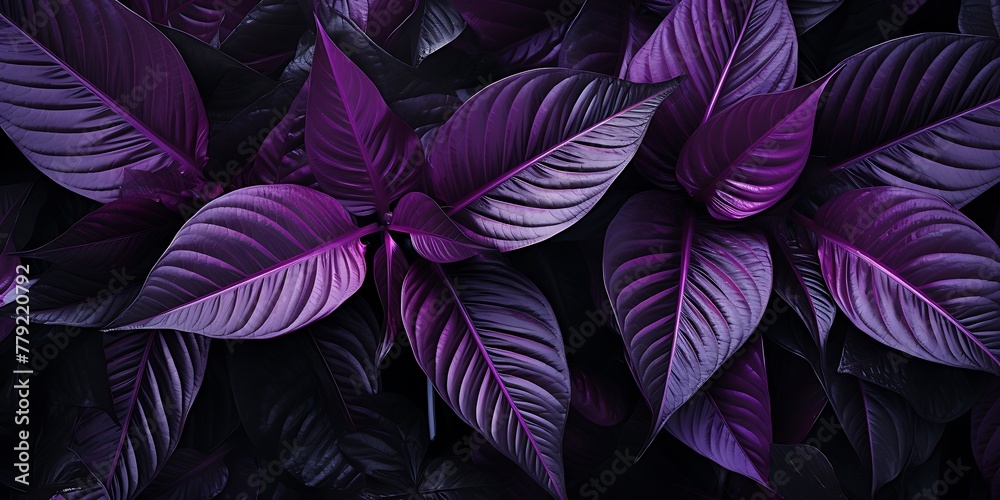 Purple tropical leaves background, top view, flat lay, copy space. - obrazy, fototapety, plakaty 