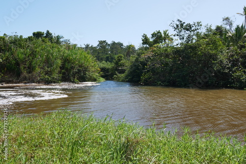 Flussmündung im Nationalpark Cahuita in Costa Rica