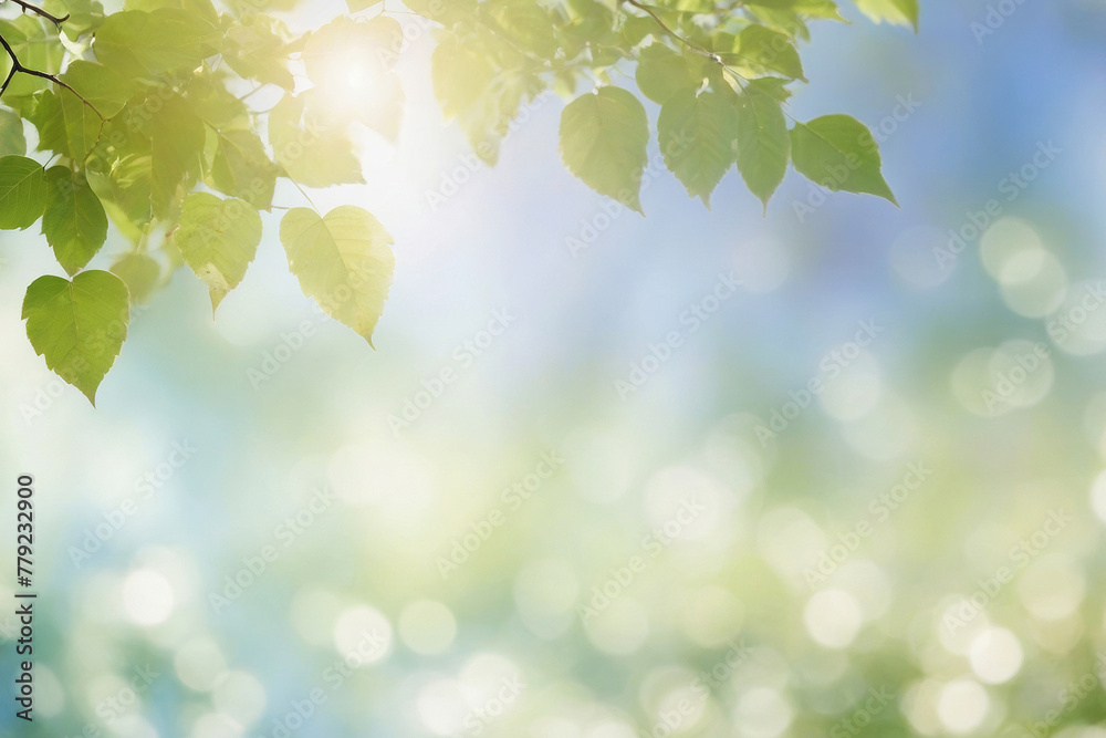 Tree with leaves and sun shining on it blue blurred background in subtle bokeh at back and space for text