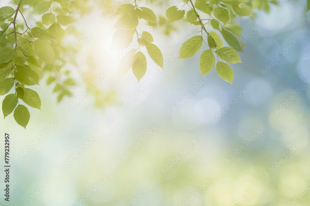 Deciduous tree branch with bright sun in the background. The leaves are green, blurred background with closed sides at the back and places for text