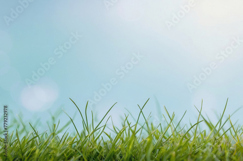 Spring or summer season abstract nature background with evenly trimmed short green grass in front and a light blue blurred background in fine bokeh at the back, place for text