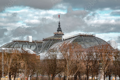 The Grand Palais des Champs-Elysees in Paris, the French capital