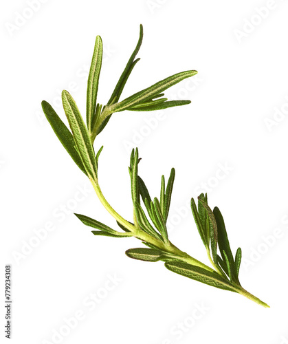Fresh green rosemary herb falling in the air isolates on white background photo
