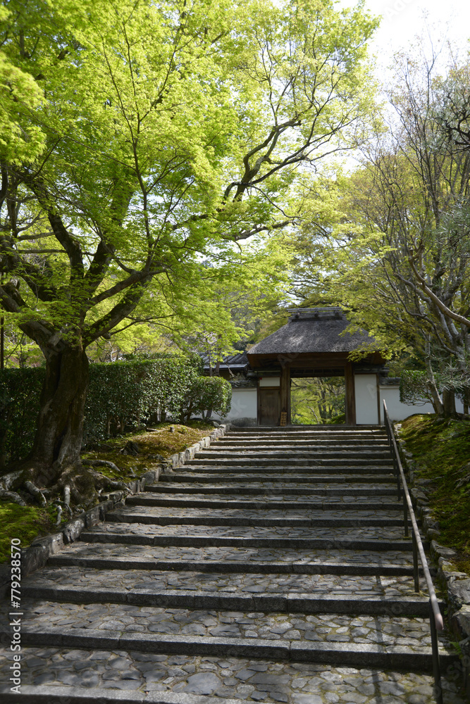 新緑の安楽寺　参道の石段と山門　京都市左京区鹿ケ谷