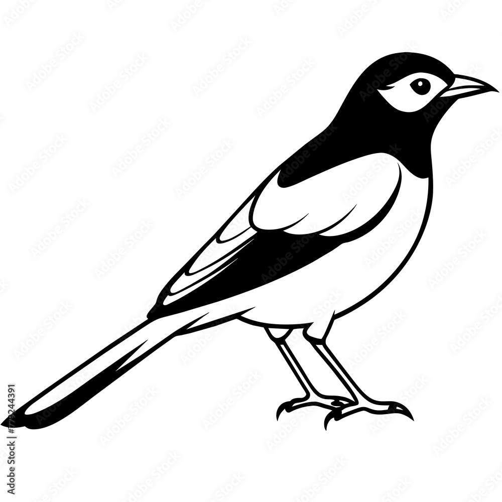 illustration of a bird, silhouette illustration of a bird, silhouette
