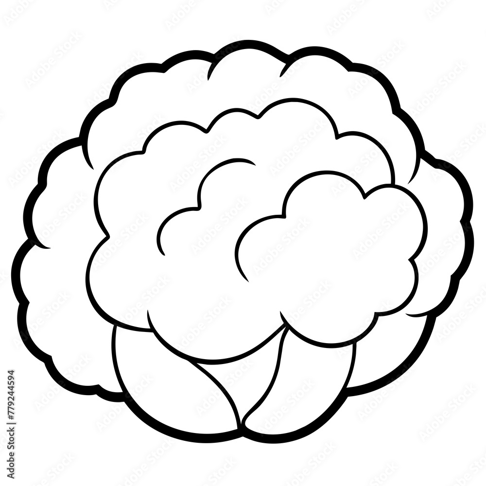 Vegetable