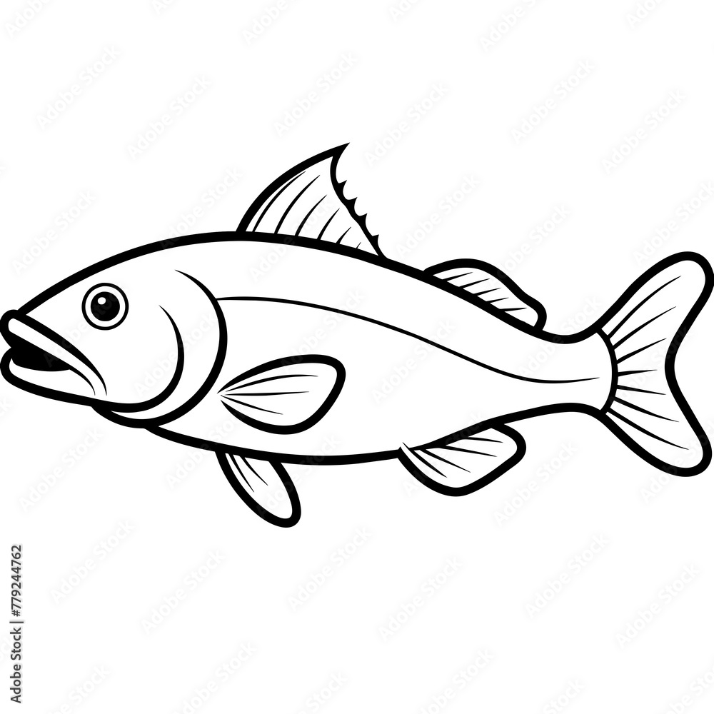 fish isolated on white background