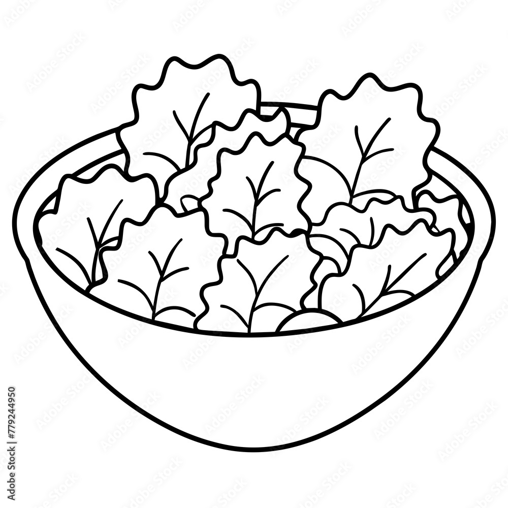 illustration of a cabbage illustration of a cabbage