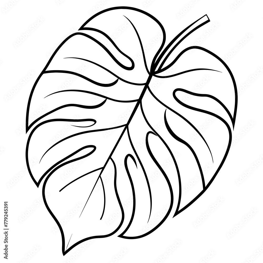 silhouette of a leaf silhouette of a leaf
