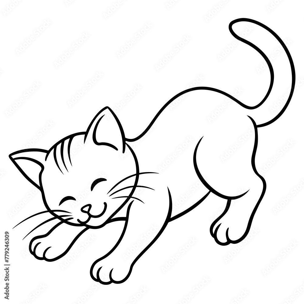 cat and mouse cat and mouse
