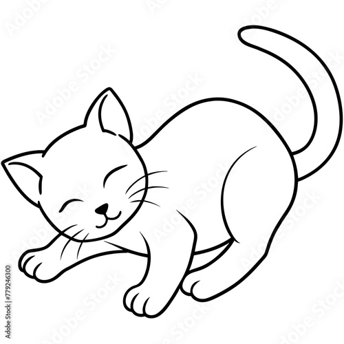 cat and mouse