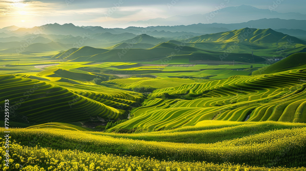 Beautiful scenery of Qinghai, China. Beautiful scenery of Qinghai, China.