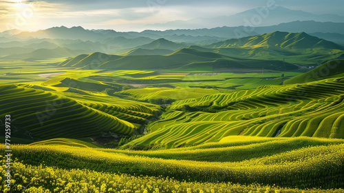 Beautiful scenery of Qinghai, China. © imlane