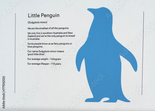penguin sign photo