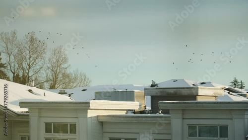 Winter Scenery with Snow-Covered Rooftops and Flying Birds