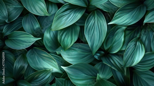 This image captures the essence of a dense foliage of green leaves, highlighting their vibrant colors and the intricate patterns they create