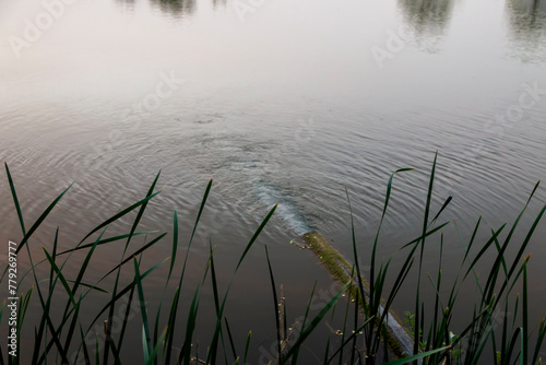 Contaminated water spills from the pipe into the river. Domestic waste water flows down the sewer drainage pipe into the river. Environmental pollution.  Ecological disaster