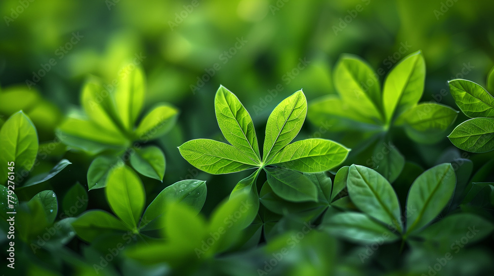 A close up of green leaves with a few drops of water on them. AI. A close up of green leaves with a few drops of water on them. AI.