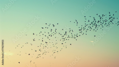 A flock of birds flying in formation against the backdrop of a clear, azure sky.