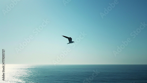 A lone seagull soaring gracefully in the vast expanse of a clear  sunny sky.