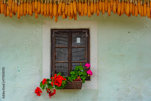 Historical houses in Croatian ethno village Kumrovec photo